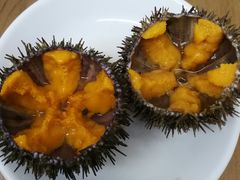 -海胆小馆(东北水饺·春柳店)