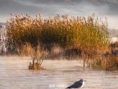 -丽江泸沽湖景区