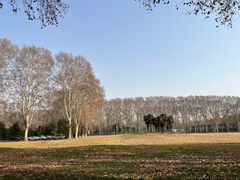 -河南省黄河迎宾馆