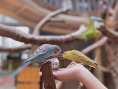 -正佳雨林生态植物园