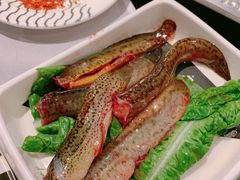 泥鳅-蜀九香火锅(九眼桥店)