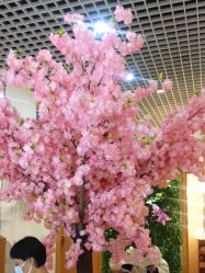 -久匠·纹眉纹绣半永久