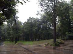 IMAG0980-重庆市江北嘴中央商务区中央公园