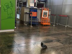 -谢列梅捷沃国际机场