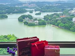 -惠州康帝国际酒店