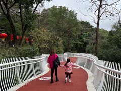 -金鸡山公园