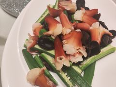 -海派美食·家宴海鲜青岛菜·石锅鲽鱼头(东方城店)