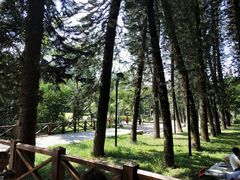 -金山植物公园