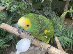 -南宫五洲植物乐园