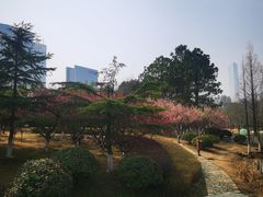-白塘生态植物园