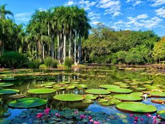 -中国科学院西双版纳热带植物园