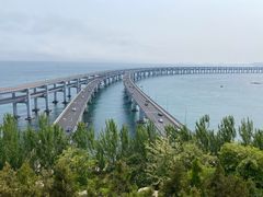 -星海湾跨海大桥