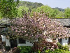 -明月山天沐温泉度假村