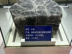 -青藏高原自然博物馆