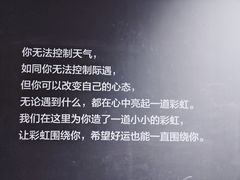 -陆家嘴空中步行连廊