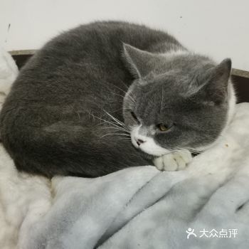 感谢橙V的3.9甜品套餐！！！