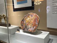 -抱璞文化展示中心