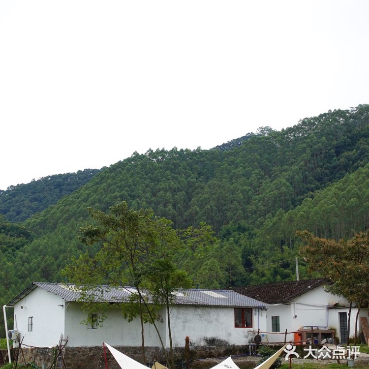 城市出逃计划|山林间的野营⛺️