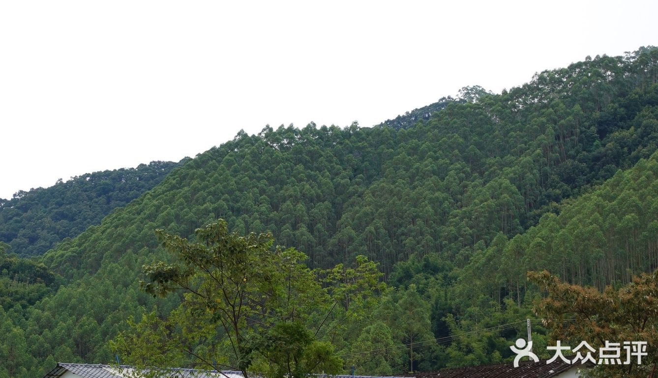 城市出逃计划|山林间的野营⛺️
