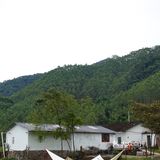 城市出逃计划|山林间的野营⛺️