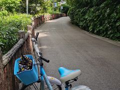 -贵阳市花溪国家城市湿地公园