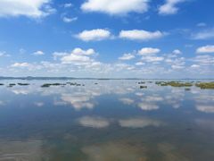 -花湖生态旅游区