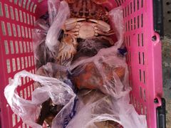 -四川人郑霞海鲜