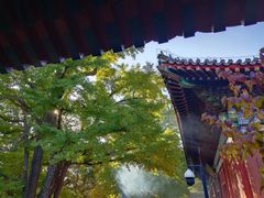 -红螺寺