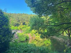 -九龙潭景区