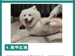 -成都市妇女儿童中心医院(中心院区)