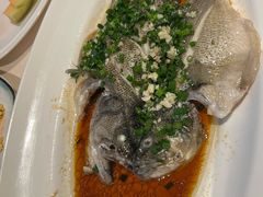 葱油鲈鱼-千岛湖君澜度假酒店(文广轩中餐厅)