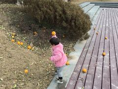 花园一角-常熟理文铂尔曼酒店