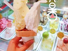 -柠檬车露(卖草地店)