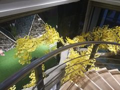 -大和洗浴休闲会所