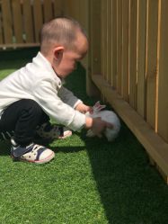 -萌宠亲子动物乐园(槐房万达店)