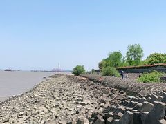 -上海滨江森林公园