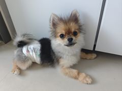 -天宠宠物医院24小时·急重症诊疗中心·全科·腔镜特色(和平分院)