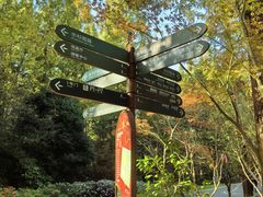 -东平国家森林公园
