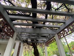 -郑和公园