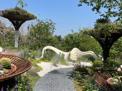 -深圳仙湖植物园
