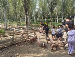 -优沃得自然教育农场·冰雪乐园·生日会·研学