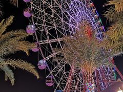 景点-三亚海昌梦幻海洋不夜城