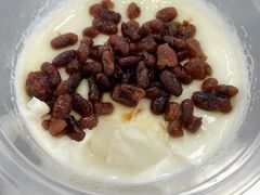 双皮奶-复旦大学本部-食堂