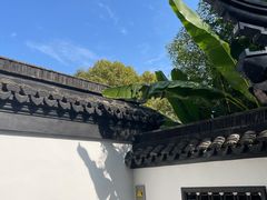 -上海醉白池公园
