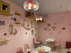 -三花喵·撸猫购宠·宠物生活馆(虹桥南丰城店)