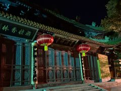 -普济寺素斋