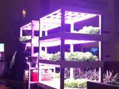 -佰园全日西餐厅-厦门佰翔软件园酒店