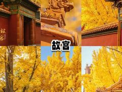 -故宫博物院(故宫)