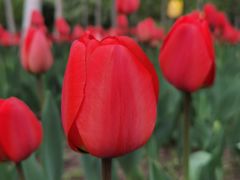 -长春公园(普阳街道)