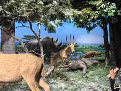 -国家自然博物馆